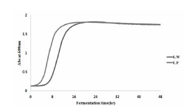 Fig. 4-2. Growth curve of Lp and Lw strain
