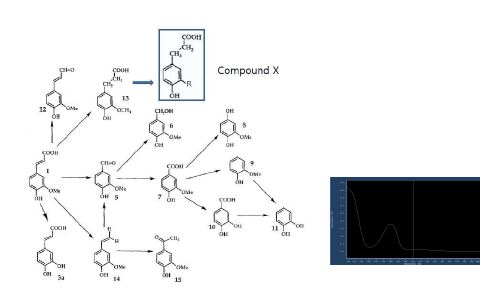 Fig. 5-5. Chemical structure of microbial metabolites of ferulic acid and Compound X(Spectra of Compound X was shown on the right)