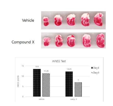 Fig. 9-2. Result of preventive effect of feeding test of rat after fed pellet fortified with RBF before MCAO