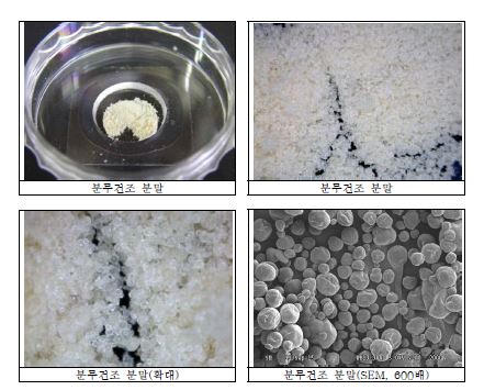 Fig. 10-1. Microscopic appearance of spray dried powder