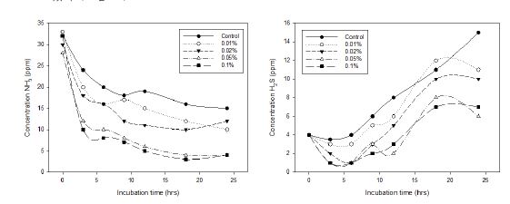그림 13. 복합 생균제 단기 살포에 따른 슬러리 내 NH3 와 H2S 농도 변화