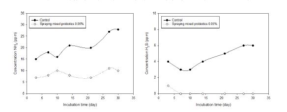 그림 14. 복합 생균제 장기 살포에 따른 슬러리 내 NH3 와 H2S 농도 변화