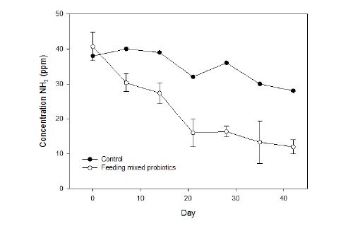 그림 18. 복합 생균제 급이에 따른 돈사 내 암모니아(NH3) 농도 변화