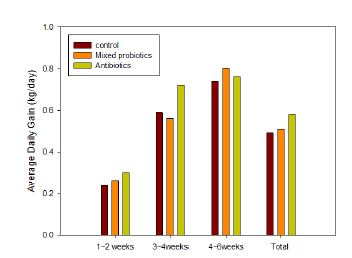 그림 23. 복합 생균제 급이에 따른 성장 개선 효과-일일증체율