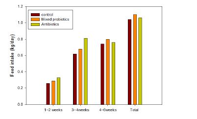 그림 24. 복합 생균제 급이에 따른 성장 개선 효과-사료섭취량
