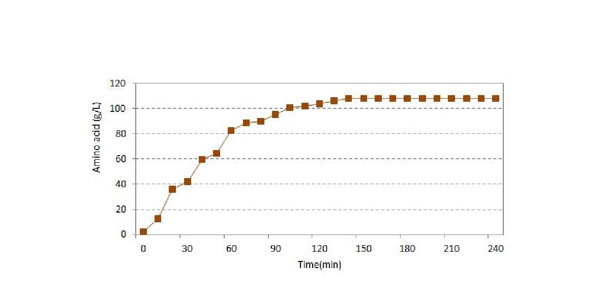 효소반응에 따른 아미노산 농도 변화