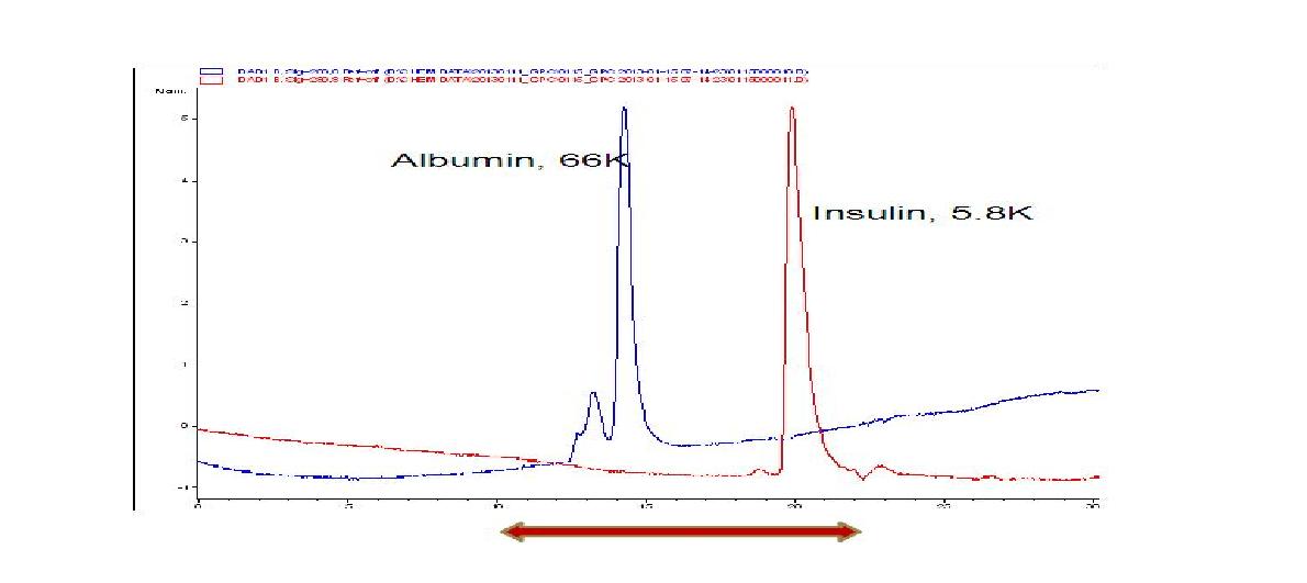 고분자 알부민 단백질과 저분자 펩타이드 인슐린의 GPC 패턴 비교