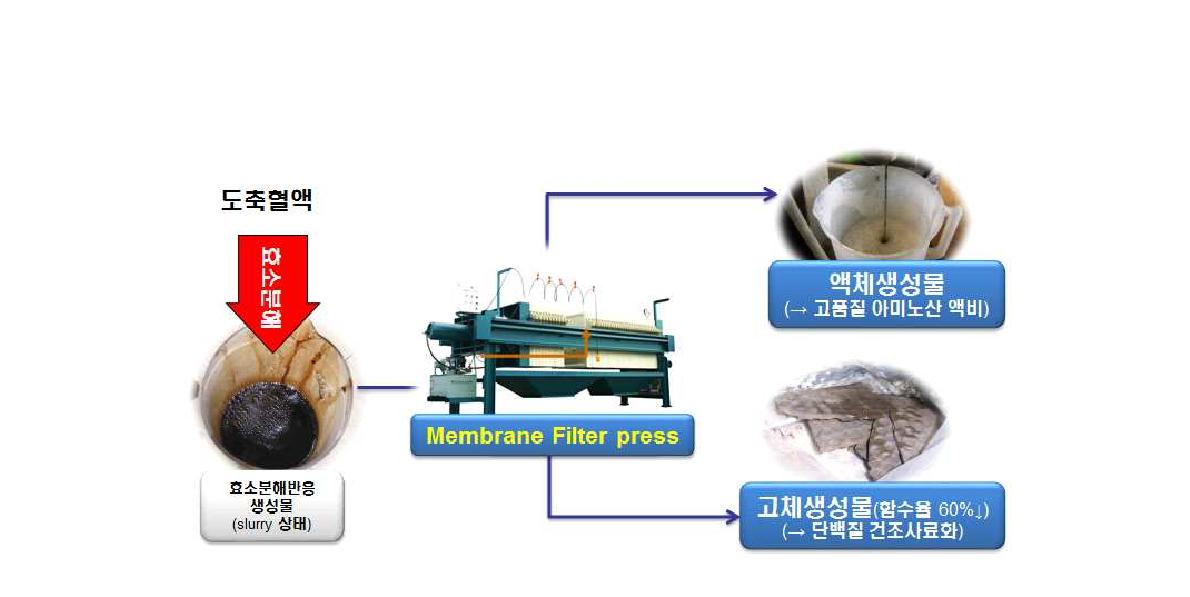 멤브레인 필터프레스 여과탈수의 원리