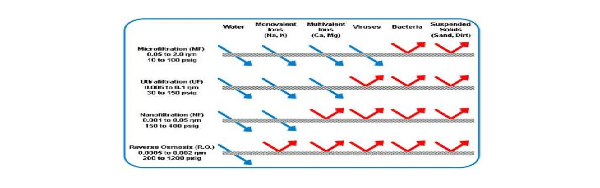 분자크기별 여과막의 종류