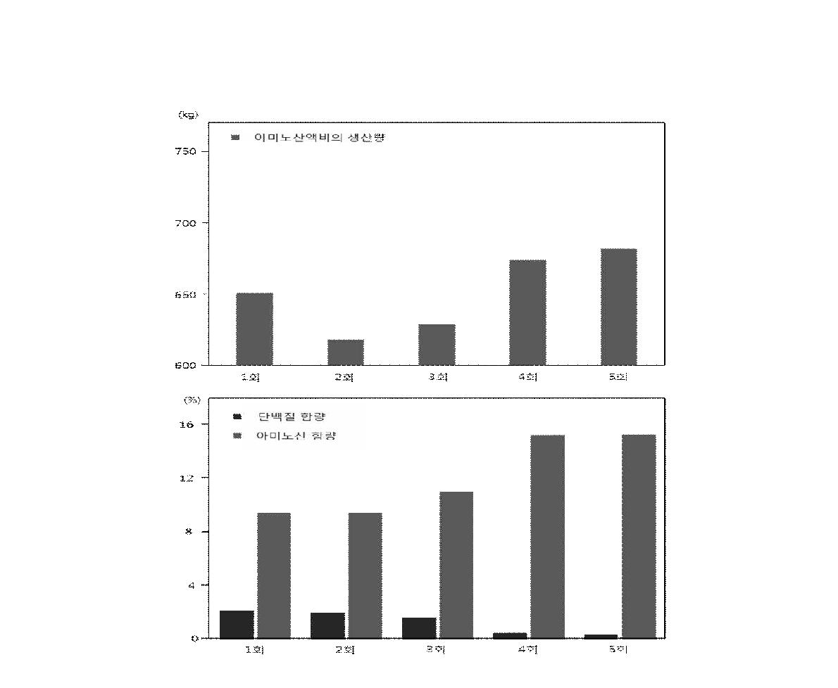 피딩압력에 따른 아미노산액비의 생산량 (위) 및