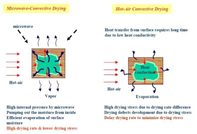 마이크로파 대류 건조와 열풍 대류 건조 비교
