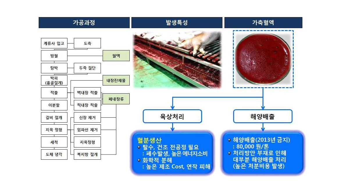 도축혈액 발생과정 및 처리현황