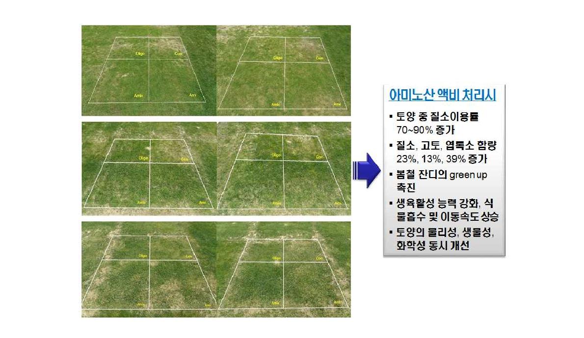 아미노산 비료의 우수성