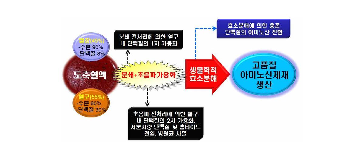 개발공정의 개념