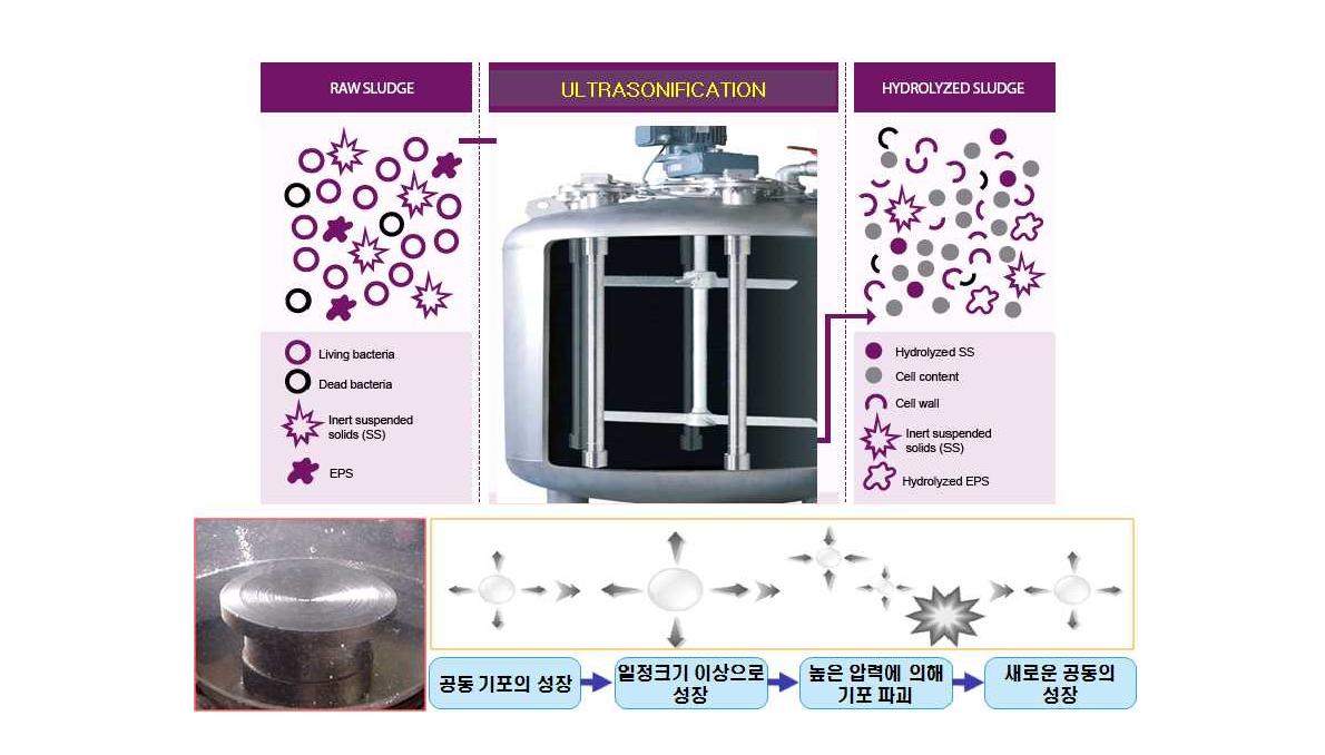 초음파 처리의 원리 및 초음파 저리 전·후의 세포파괴