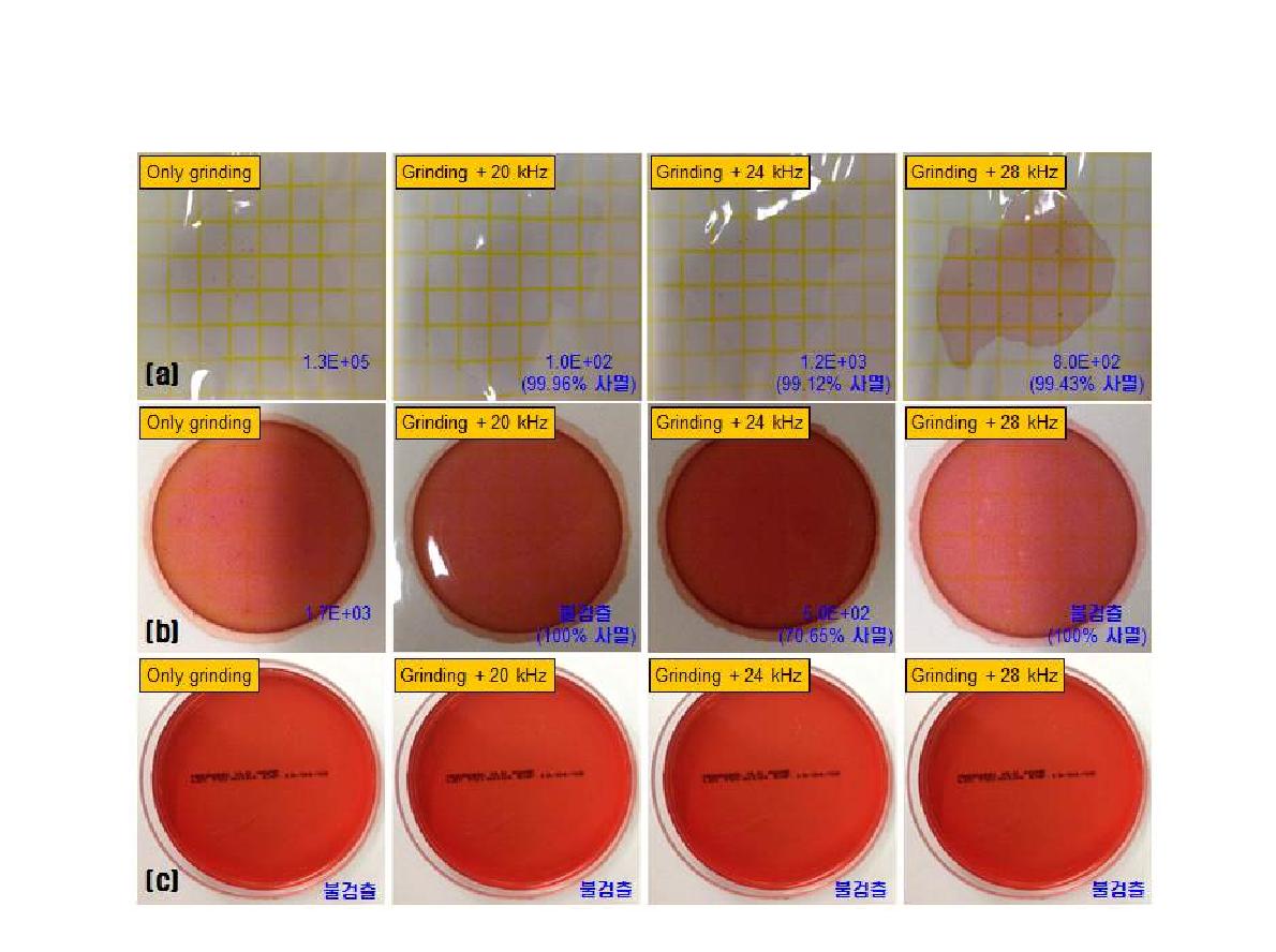 초음파 주파수에 따른 병원균 사멸 특성