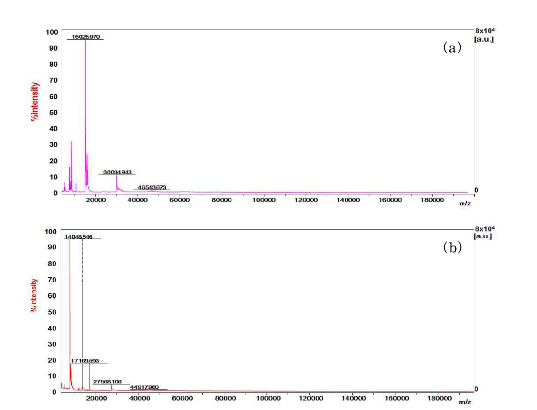 전처리에 따른 MALDI-TOF 분석 결과(4,000∼200,000 Da)