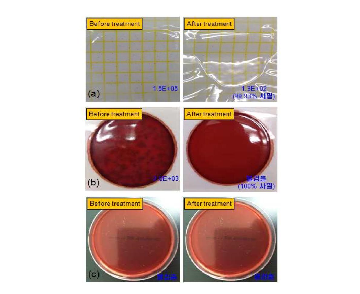 전처리에 따른 병원균 사멸 특성