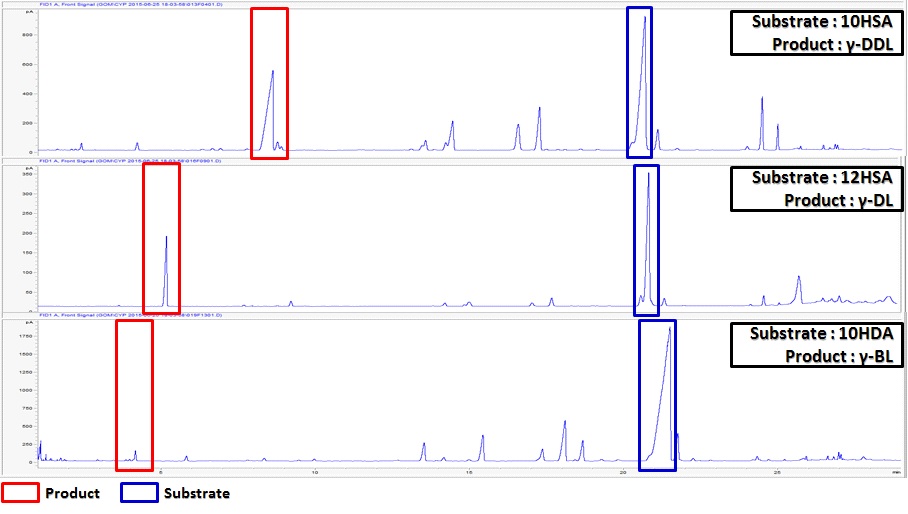 Fig. 10. GC analysis of γ-lactone from various hydroxy fatty acid by whole cells of Y. lipolytica under optimal conditions