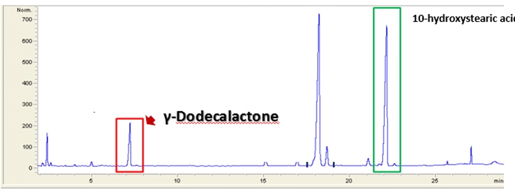 Fig. 16. Analysis of γ-dodecalactone conversion yields from olive oil