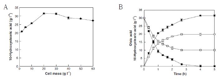 Fig. 2. a Effect of the cell concentration on the conversion of oleic acid to 10-hydroxystearic acid by whole cells of S. nitritireducens. b Time-courses for the conversion of oleic acid into 10-hydroxystearic acid by whole cells of S. nitritireducens under the optimum conditions in anaerobic and aerobic atmospheres. Oleic acid (filled circle) and (filled square) 10-hydroxystearic acid in anaerobic atmosphere and oleic acid (open circle) 10-hydroxystearic acid (open square) in aerobic atmosphere