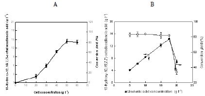 Fig. 12. Effects of the concentrations of substrate and permeabilized cells on 10-hydroxy-12,15(Z,Z)-octadecadienoic acid production from α-linolenic acid by whole cells of S. maltophilia. (A) Effect of cell concentration. (B) Effect of cell concentration.