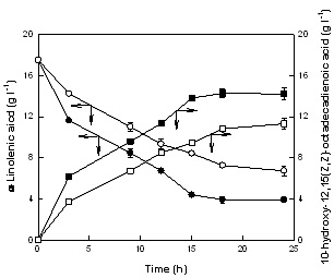 Fig. 13. Time-course reactions for the production of 10-hydroxy-12,15(Z,Z)-octadecadienoic acid from α-linolenic acid by permeabilized cells and nonpermeabilized cells of S. maltophilia under the optimum conditions. The production of 10-hydroxy-12,15(Z,Z)-octadecadienoic acid (■) from α-linolenic acid (●) by permeabilized cells and the production of 10-hydroxy-12,15(Z,Z)-octadecadienoic acid (□) from α-linolenic acid (○) by nonpermeabilized