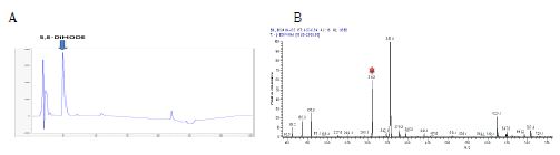 Fig. 2. HPLC chromatogram (A), LC-ESI-M/S (B), LC-ESI-MS/MS (C, D), and structure of purified 5,8-dihydroxy octadecadienoic acid (5,8-diHODE) from linoleic acid by diol synthase