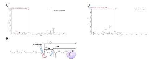 Fig. 2. HPLC chromatogram (A), LC-ESI-M/S (B), LC-ESI-MS/MS (C, D), and structure of purified 5,8-dihydroxy octadecadienoic acid (5,8-diHODE) from linoleic acid by diol synthase