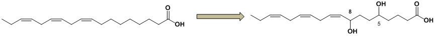 Fig. 5. Scheme of 5,8-dihydroxy-octadecatienoic acid production from α-linolenic acid