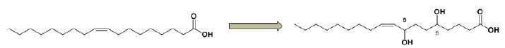 Fig. 8. Scheme of 5,8-dihydroxy-octadecenoic acid production from oleic acid