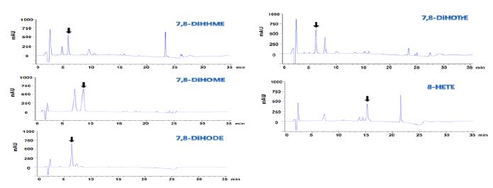 Fig. 16. HPLC chromatogram of the products obtained from fatty acids by 7,8-diol synthase from G. cingulate