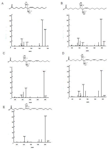 Fig. 17. LC-MS/MS spectrum of the reaction products obtained from the conversion of fatty acids by 7,8-diol synthase from G. cingulate