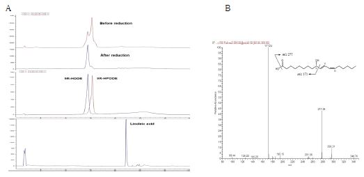 Fig. 3. Analysis of 9R-hydroxy octadecadienoic acid formation formation from linoleic acid by Nostoc lipoxygenase. (A) Regioselectivity and chirality of 9R-hydroxy octadecadienoic acid (B) LC-MS/MS chromatogram and structure of 9R-HODE