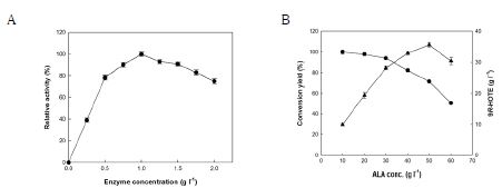 Fig. 14. Effects of the concentrations of enzyme and substrate on the production of 9R-HOTE from ALA by 9R-LOX. (A) Effect of enzyme concentration. The reactions were performed in 50 mM Tris-HCl buffer (pH 8.5) containing 10 g/L ALA, 5 % (v/v) acetone, and 0.2 % (w/v) Tween 80 at 15 °C for 20 min by varying the enzyme concentration from 0.05 to 2 mg/ml. (B)Effect of ALA concentration. The reactions were performed in 50 mM Tris-HCl buffer (pH 8.5) containing 0.5 mg/ml enzyme, 5% (v/v) acetone, and 0.2 % (w/v) Tween 80 at 15 °C for 20 min by varying the ALA concentrations from 5 to 50 g/L