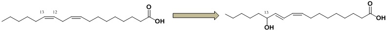 Fig. 16. Shcheme of 13-hydroxy-9Z,11E- octadecadienoic acid (13-HODE) production from linolieic acid using 9-lipoxygenase