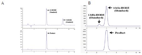 Fig. 18. HPLC analysis of the product obtained from linoleic acid by the conversion of recombinant E. coli expressing B. thailandensis 13-lipoxygenase for regioselectivity (A) and chirality (B). The product was identified as 13S-HODE based on the retention time of the reaction product in HPLC