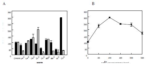 Fig. 20. Effect of metal on the activity of B. thailandensis lipoxygenase for linoleic acid. (A) Effect of metal type. 0.1 mM (black bar) or 1.0mM (gray bar) solvent. (B) Effect of Cu2+concentration