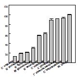 Fig. 2. γ-Dodecalactone production from 10-hydroxystearic acid by whole cells of oleaginous yeast strains