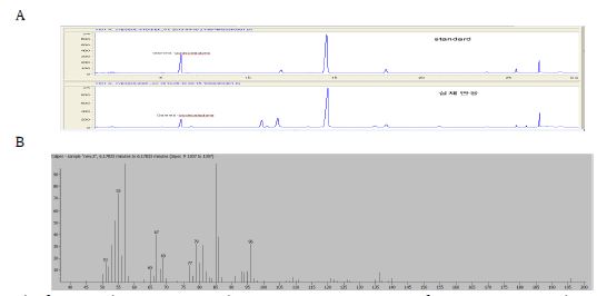 Fig. 12. Analysis for the production of γ-dodecelactone from 10-hydroxyoctadecenoic acid by whole cells of C. boidinii. (A) GC analysis for production of γ-dodecelactone. Reaction sample was compared with standard. (B) The product was identified as γ-dodecelactone by GC/MS analysis