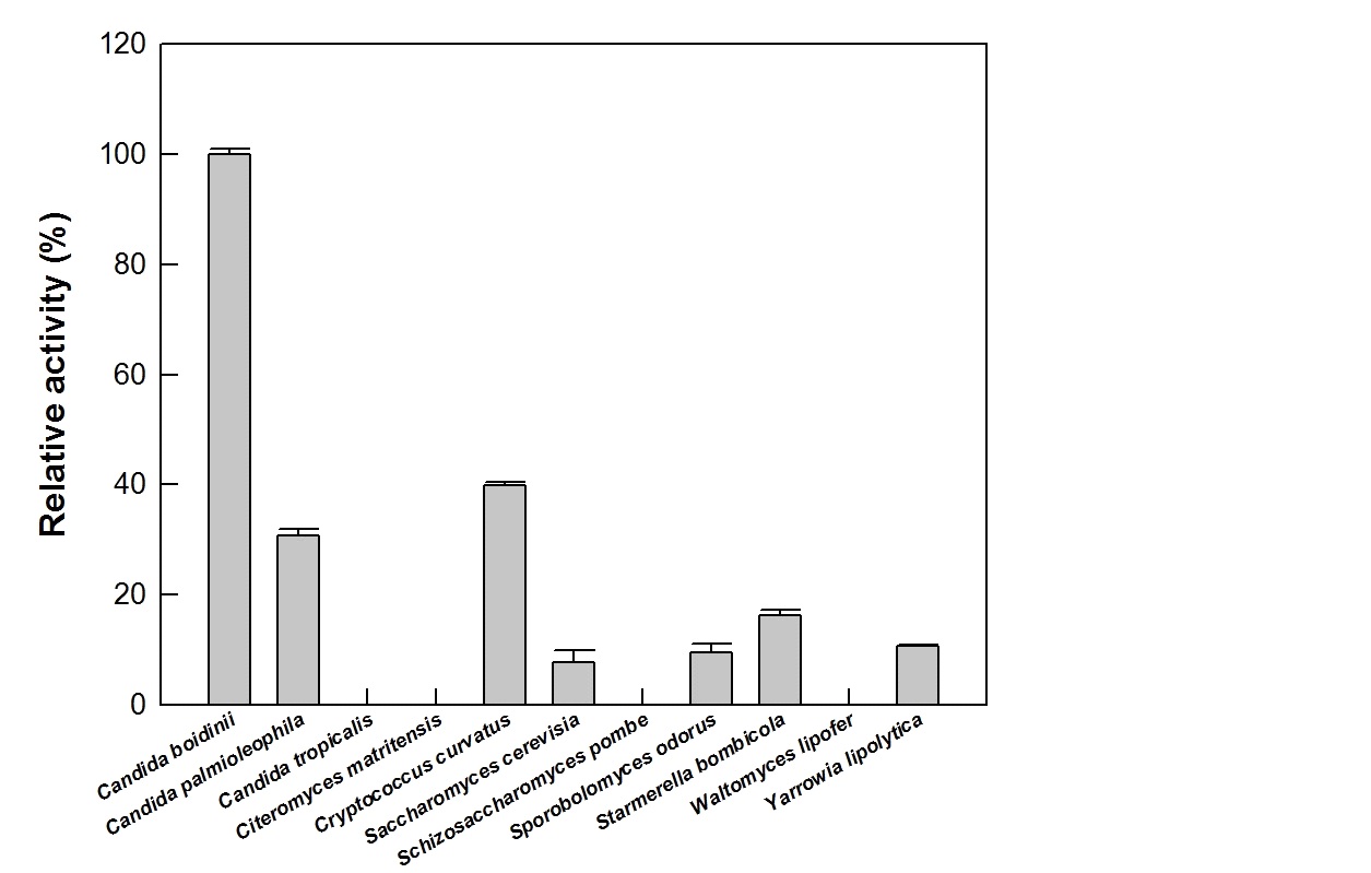 Fig. 14. γ-Dodecalactone production from 10-hydroxy-12(Z)-octadecenoic acid by whole cells of oleaginous yeast strains