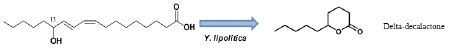 Fig. 20. Conversion of linoleic acid to δ-decalactone