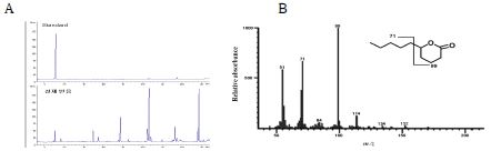 Fig. 21. Analysis for the production of δ-decalactone from 13-hydroxy-9-octadecenoic acid by whole cells of Y. lipolytica. (A) GC analysis for production of δ-decalactone. Reaction sample was compared with standard. (B) The product was identified as δ-decalactone by GC/MS analysis