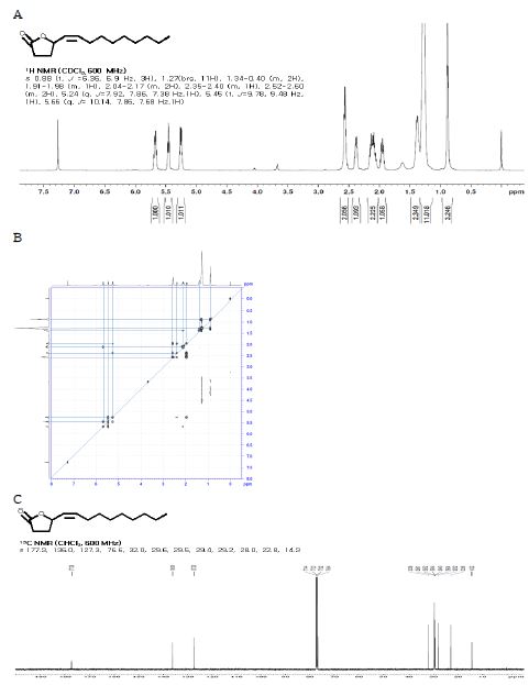 Fig. 28. NMR analysis of japonilure from 8-hydroxy-9-octadecenoic acid by whole cells of C. palmiolephila. (A) 1H NMR analysis of japonilure, (B) 2D-COSY analysis of japonilure, (C) 13C NMR analysis of purified japonilure