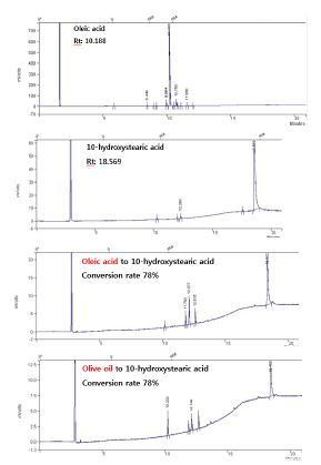 Fig. 4. Analysis of 10-hydroxystearic acid conversion yields from oleic acid and olive oil