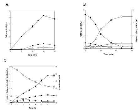 Fig. 8. (A) Production of fatty acids from safflower oil by lipase from C. rugosa. Fatty acids were linoleic acid (●), oleic acid (▲), and palmitic acid (◇). (B) Production of hydroxy fatty acids from fatty acids by whole S. nitritireducens cells. Linoleic acid (●) and oleic acid (▲) were converted to 10-hydroxy-12(Z)-octadecenoic acid (○) and 10-hydroxy-12(Z)-octadecenoic acid acid (△), respectively, by whole S. nitritireducens cells. (C) Production of γ-lactones from hydroxy fatty acids by whole C. boidinii cells. The cells consumed oleic acid (▲) and linoleic acid (●), however, they poorly comsumed palmitic acid (◇). γ-Dodecelactone (◆) and γ-dodecalactone (■)