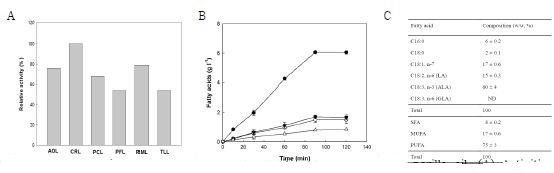 Fig. 9. Effect of lipase, production and composition of fatty acid in perilla oil. (A) Activities of lipase for releasing ALA from perilla oil. Lipases from recombinant Aspergillus oryzae (AOL), Candida rugosa (CRL), Pseudomonas cepacia (PCL), Pseudomonas fluorescense (PFL), Rhizomucor meihei (RML), and Thermomyces lanoginosus (TLL) were obtained from Sigma and used as 0.1 U/ml for reaction at room temperature for 1h. (B) Production of fatty acids from PO by candida rugosa lipase (CRL). Fatty acids were α-linoleic acid (filled circle), linoleic acid (empty circle), oleic acid (filled inverse triangle), and other fatty acids (empty triangle). The reactions were performed in 50 mM Tris-HCl buffer (pH 7.5) containing 1 g/L lipase, 10 g/L PO, and 0.02% (w/v) Tween 80 at 37 °C with agitation at 200 rpm for 2 h. (C) Fatty acid composition of perilla oil by CRL. Detection was performed using GC