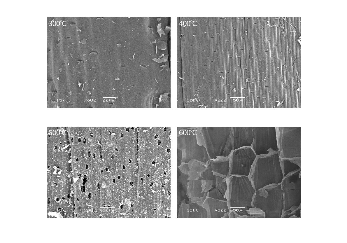 Fig. 3-87. 열분해 온도에 따른 옥수수대 biochar의 SEM 사진.