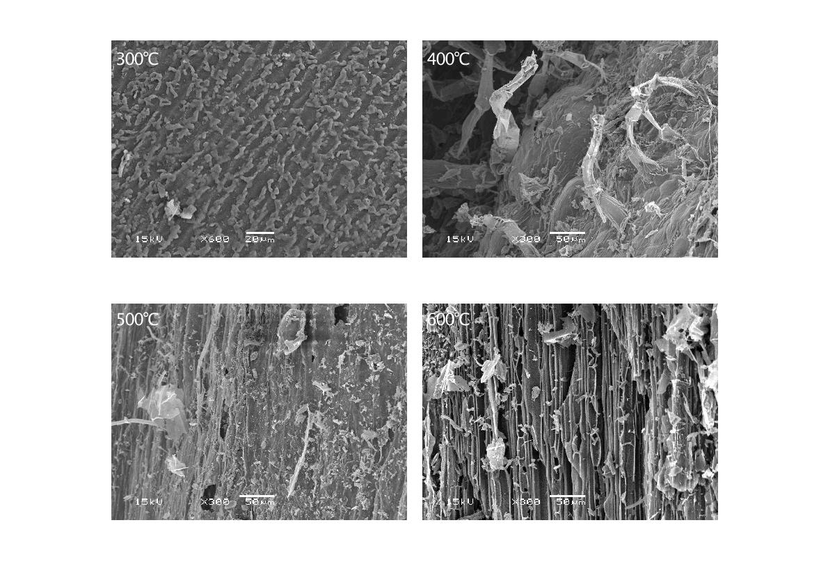 Fig. 3-90. 열분해 온도에 따른 참깻대 biochar의 SEM 사진.