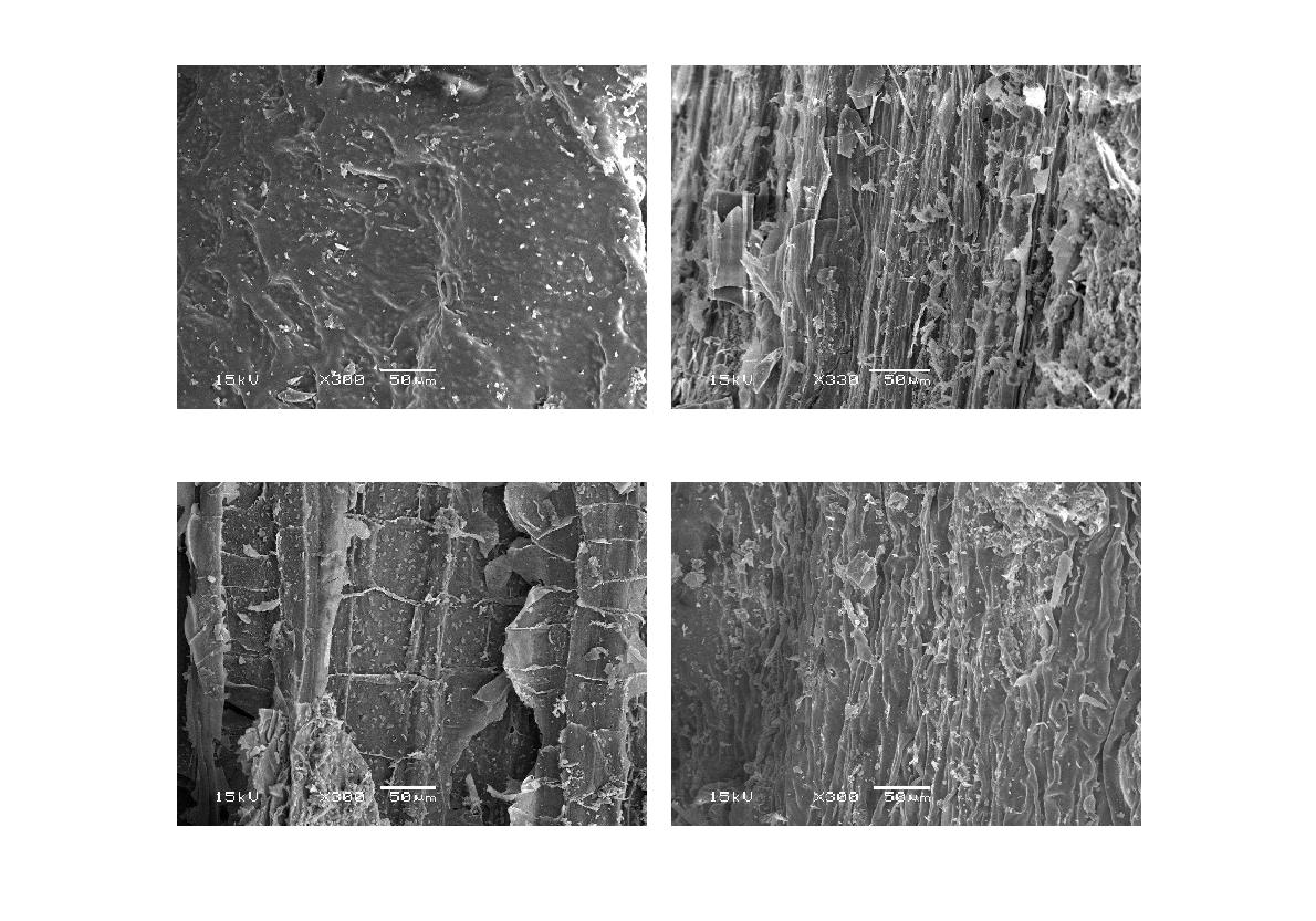 Fig. 3-96. 열분해 온도에 따른 고춧대 biochar의 SEM 사진